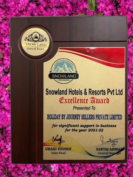 Excellence Award