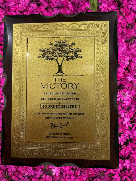 Excellence Award