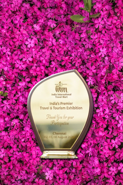IITM Participation Certificate