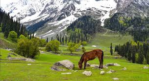 Day 2: Srinagar – Sonamarg Excursion Day 2: Srinagar – Sonamarg Excursion