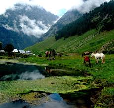 Day 2: Srinagar – Sonamarg – Srinagar Day 2: Srinagar – Sonamarg – Srinagar