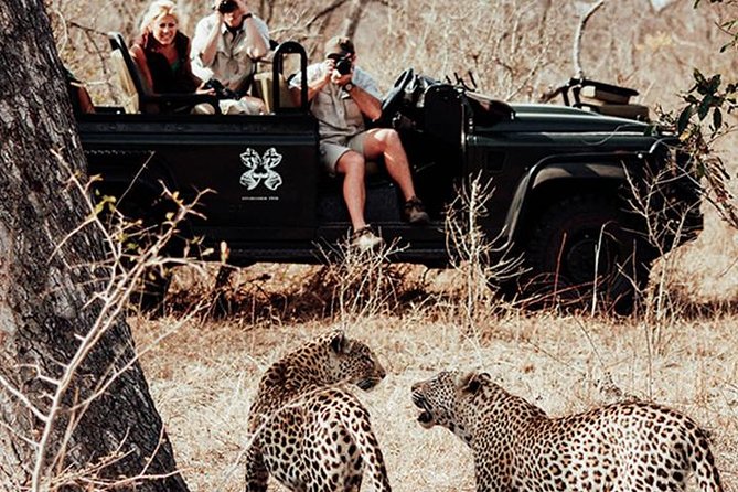 Day 3: Jhalana Leopard Safari – Wildlife Adventure Day 3: Jhalana Leopard Safari – Wildlife Adventure