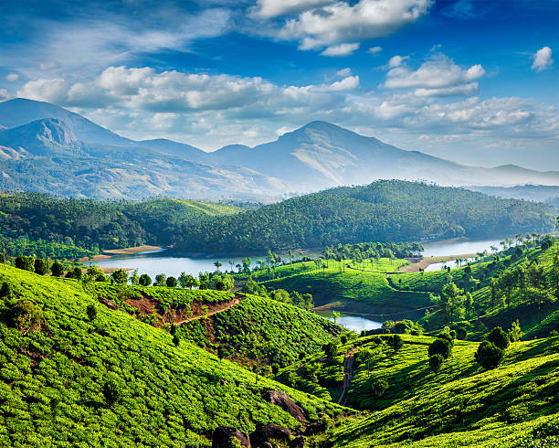 Day 2: Cochin to Munnar – Enroute Waterfalls & Tea Estates Day 2: Cochin to Munnar – Enroute Waterfalls & Tea Estates