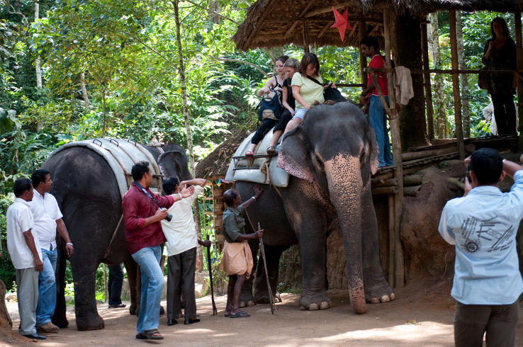Day 4: Munnar to Thekkady – Wildlife & Culture Day 4: Munnar to Thekkady – Wildlife & Culture