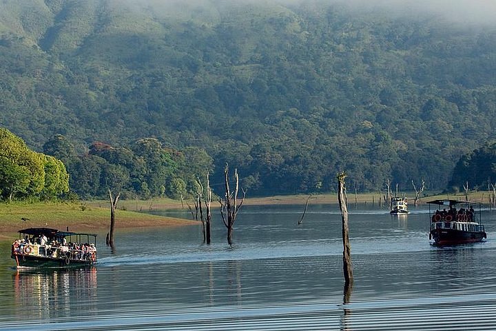 Day 3: Munnar to Thekkady – Spice Hills & Wildlife Day 3: Munnar to Thekkady – Spice Hills & Wildlife