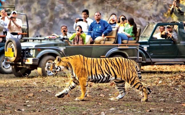 Jaipur with Wildlife Ranthambhore Jaipur with Wildlife Ranthambhore